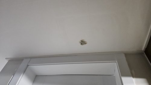 동래구 누수탐지 상가 주방 수도관 누수 점검