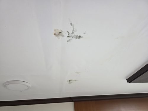 관악구 누수탐지 배*경 시공 후기 사진