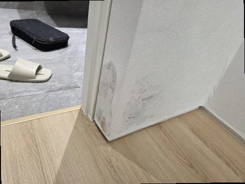 김포 누수탐지 아래층 천장 누수 얼룩과 윗집 욕실 주변을 확인하는 현장