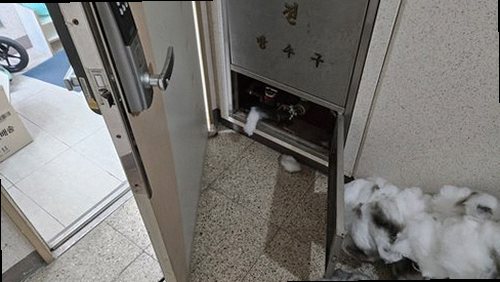 영도구 누수탐지 청학1동 누수탐지 보일러소음원인 직접 해보니 원인이 보였습니다