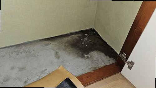 금산군 누수탐지 거실 천장에 번진 누수 흔적과 벽지 얼룩