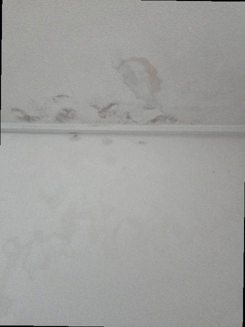 병점구 누수탐지 수도계량기 별침과 잠금 밸브를 확인하는 모습