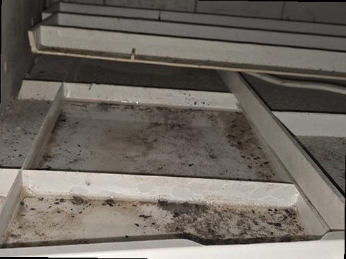 동작구 누수탐지 벽면 물자국과 천장 백화현상을 확인하는 누수 점검 현장