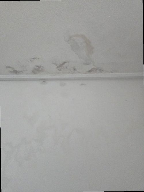 분당구 누수탐지 수도계량기 별침과 건물 배관 구조를 확인하는 모습