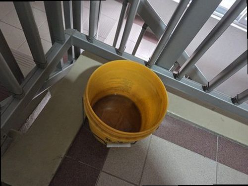 분당구 누수탐지 수분측정기와 열화상 카메라를 활용한 현장 점검