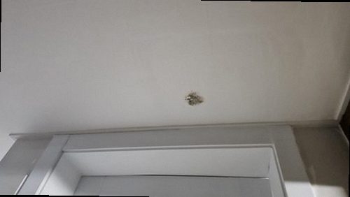 대전 서구 누수탐지 배관 압력 검사와 누수 위치를 확인하는 장비