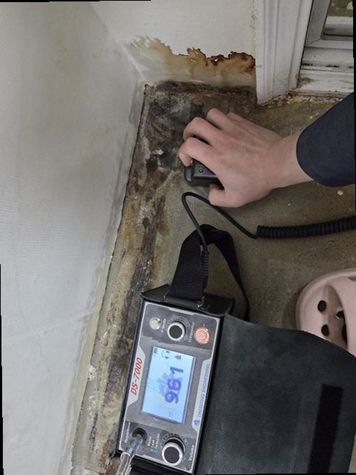 일산동구 누수탐지 베란다 창틀과 벽면의 누수 흔적을 확인하는 현장 점검