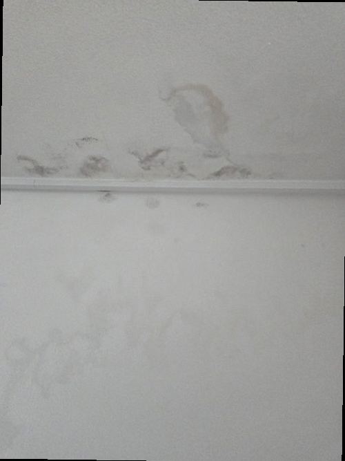 장안구 누수탐지 이목동 누수탐지 벽면곰팡이누수 곰팡이 흔적, 더 늦기 전에