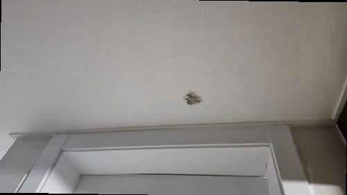 장안구 누수탐지 벽체 굴착 전 관로 위치와 누수 지점을 비교하는 모습