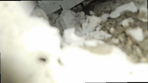 평택 누수탐지 거실 천장 조명 주변 물자국과 누수 흔적을 확인하는 현장