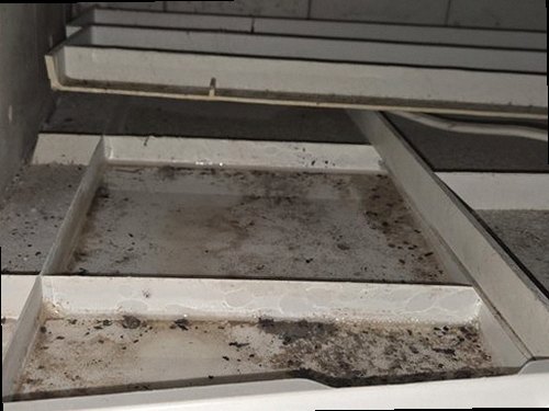 동두천 누수탐지 욕실 천장 누수 흔적과 바닥 배수구 주변 점검 모습