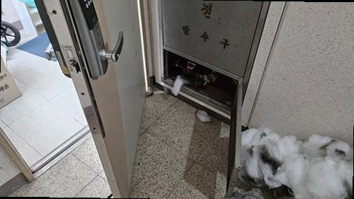 일산서구 누수탐지 배관 관로를 표시하고 굴착 범위를 최소화하는 보수 준비 현장